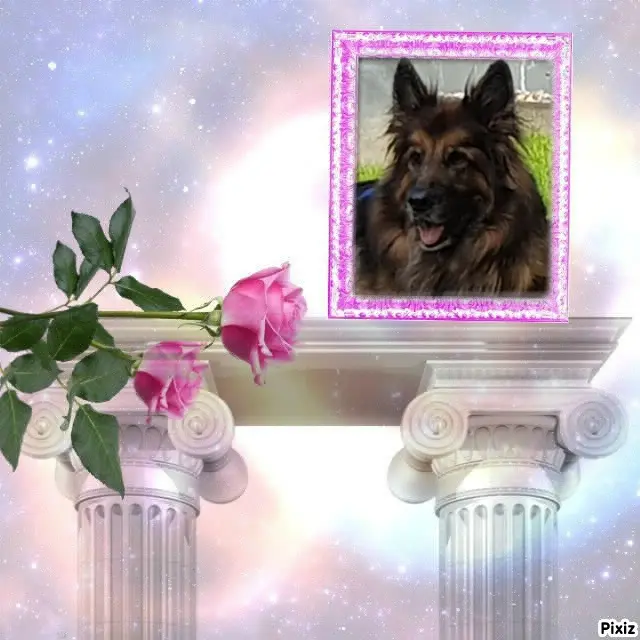 Andachtsbild von Dzień Dobry Misieńku❤️❤️❤️