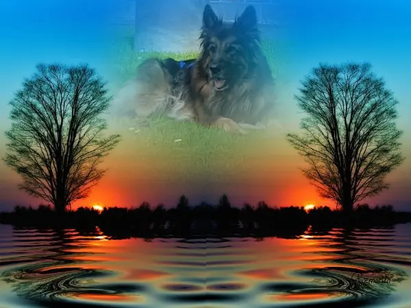 Andachtsbild von Dobrej Nocki Ukochany Misieńku❤️❤️❤️