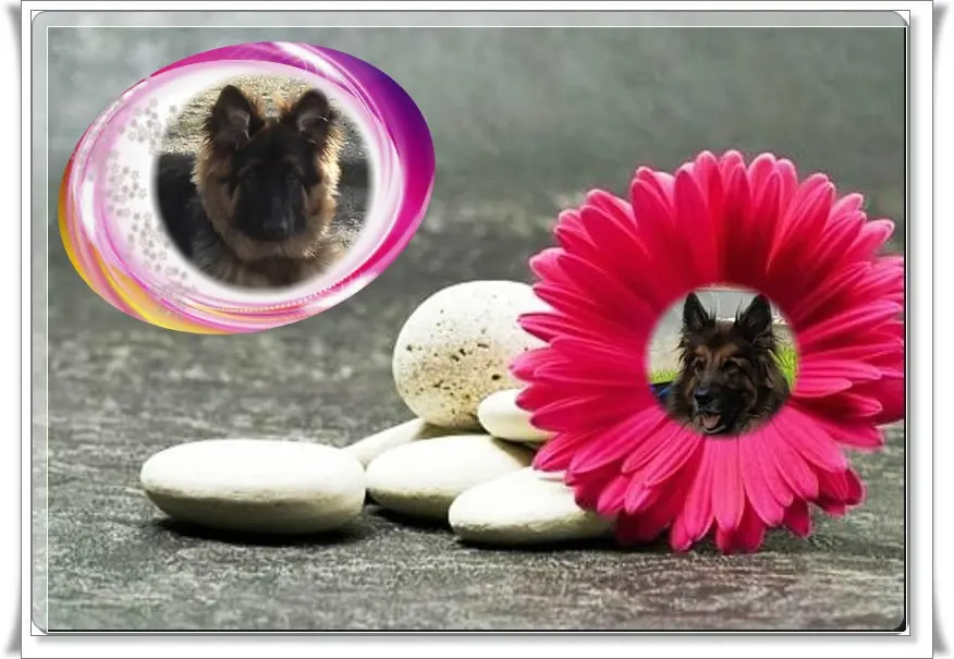 Andachtsbild von Dzień Dobry Misieńku❤️❤️❤️