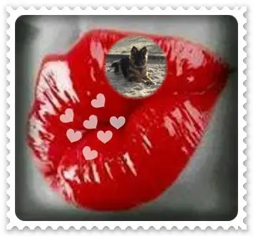 Andachtsbild von Dzień Dobry Misieńku❤️❤️❤️