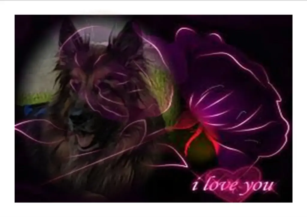 Andachtsbild von Dobrej Nocki Ukochany Misieńku❤️❤️❤️