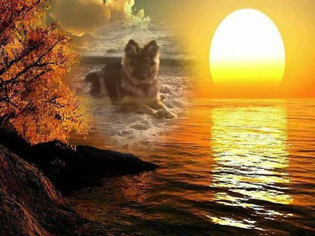 Andachtsbild von Dzień Dobry Misieńku❤️❤️❤️