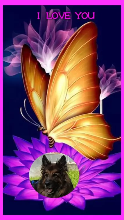 Andachtsbild von Dobrej Nocki Ukochany Misieńku❤️❤️❤️