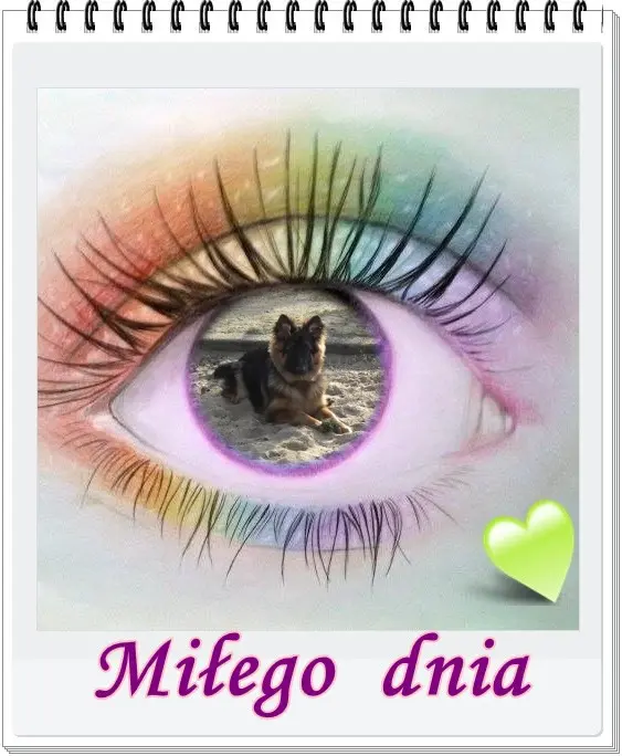 Andachtsbild von Dzień Dobry Misieńku❤️❤️❤️