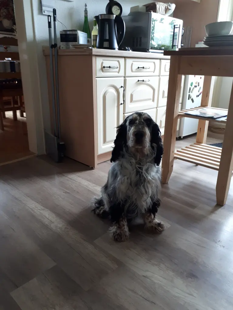 Andachtsbild von Christine mit Lucky im Herzen