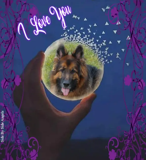 Andachtsbild von Dobrej Nocki Ukochany Misieńku❤️❤️❤️