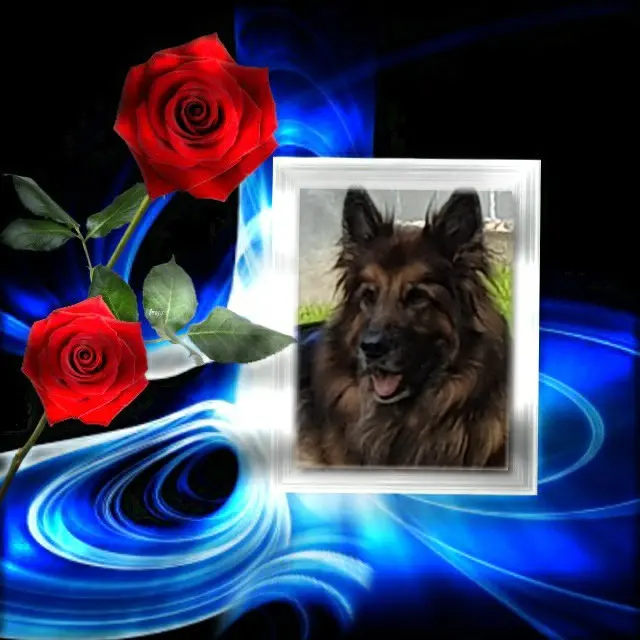 Andachtsbild von Dobrej Nocki Ukochany Misieńku❤️❤️❤️