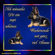 Andachtsbild von Wochenendrosen für Misiu