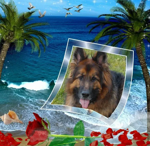 Andachtsbild von Dzień Dobry Misieńku❤️❤️❤️