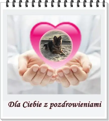 Andachtsbild von Dzień Dobry Misieńku❤️❤️❤️