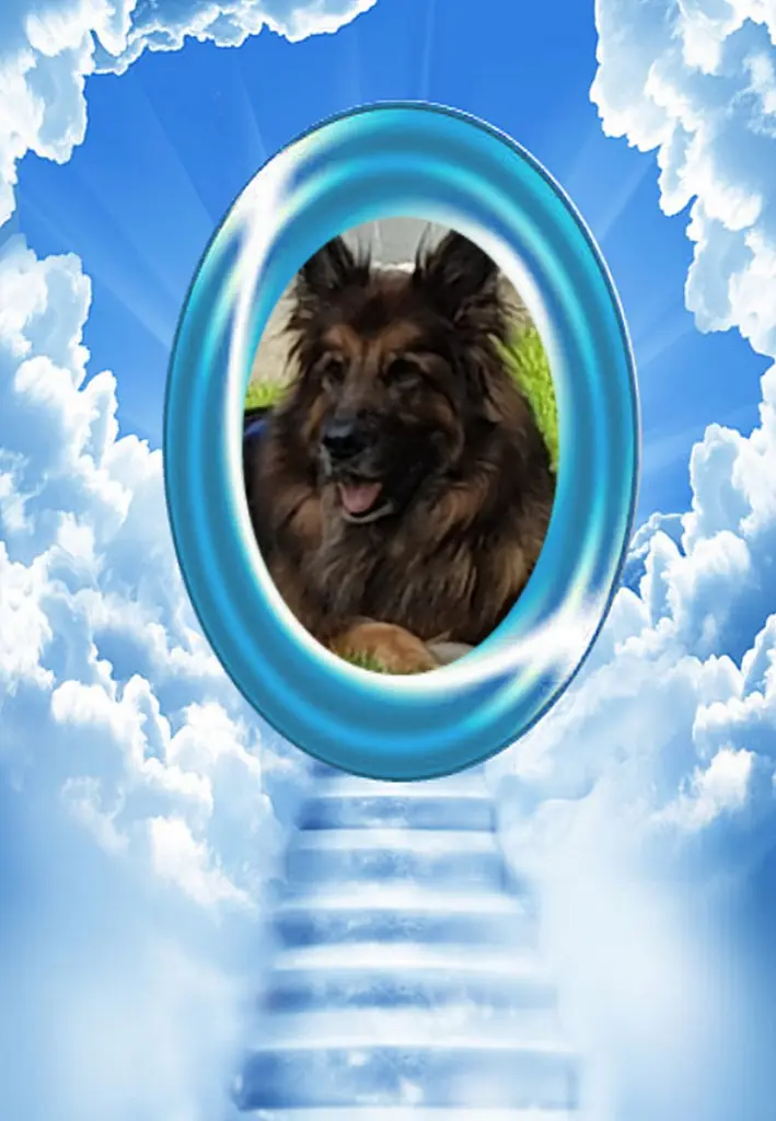 Andachtsbild von Dzień Dobry Misieńku❤️❤️❤️