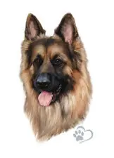 Andachtsbild von Michaela mit Nicko und Ariane ganz 