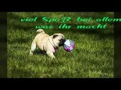 Andachtsbild von Brigitte mit Nelly, Benny und Axel im Herzen