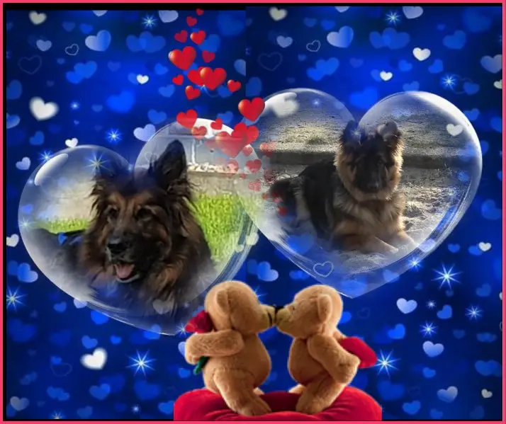 Andachtsbild von Dobrej Nocki Ukochany Misieńku❤️❤️❤️