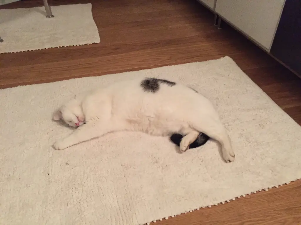 Andachtsbild von Susanne mit Cedric im Herzen  