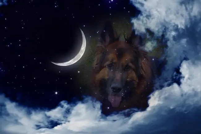 Andachtsbild von Dobrej Nocki Ukochany Misieńku❤️❤️❤️