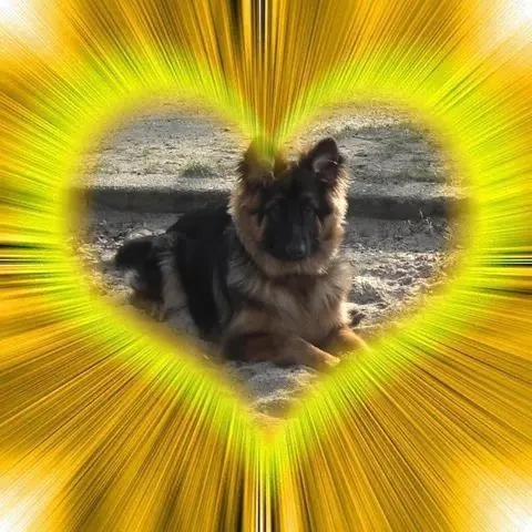 Andachtsbild von Dzień Dobry Misieńku❤️❤️❤️