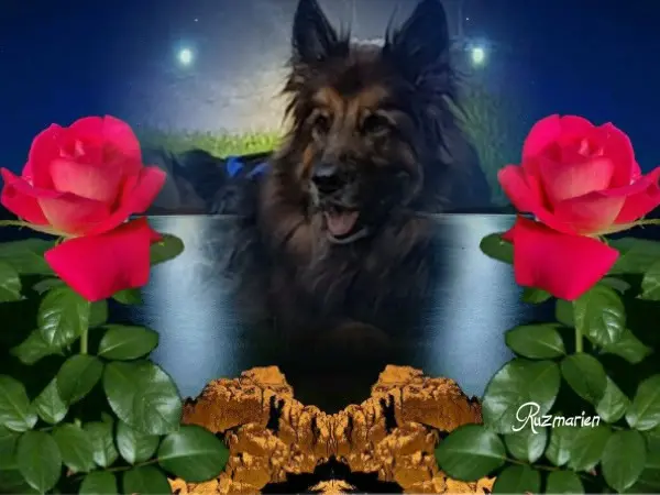 Andachtsbild von Dobrej Nocki Ukochany Misieńku❤️❤️❤️