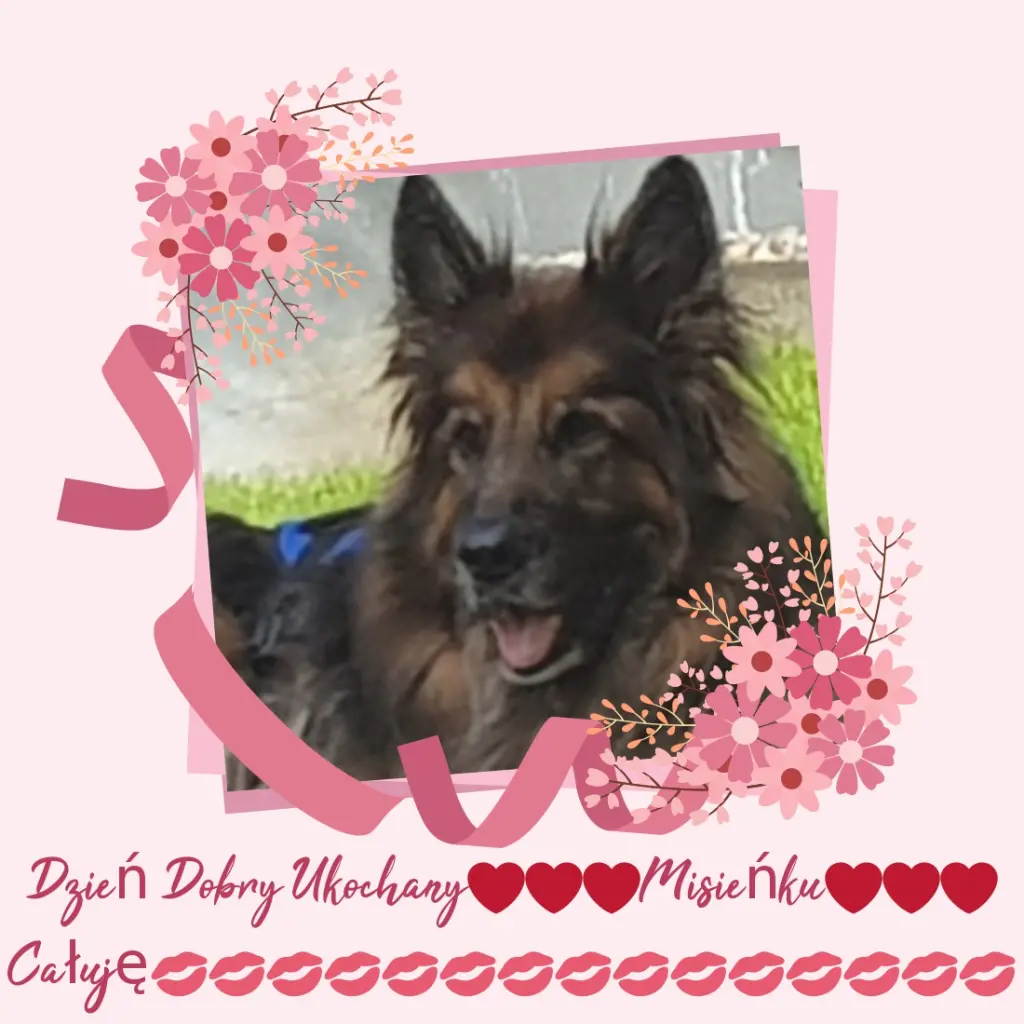 Andachtsbild von Dzień Dobry Misieńku❤️❤️❤️