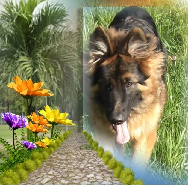 Andachtsbild von Dzień Dobry Misieńku❤️❤️❤️