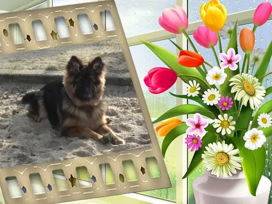 Andachtsbild von Dzień Dobry Misieńku❤️❤️❤️