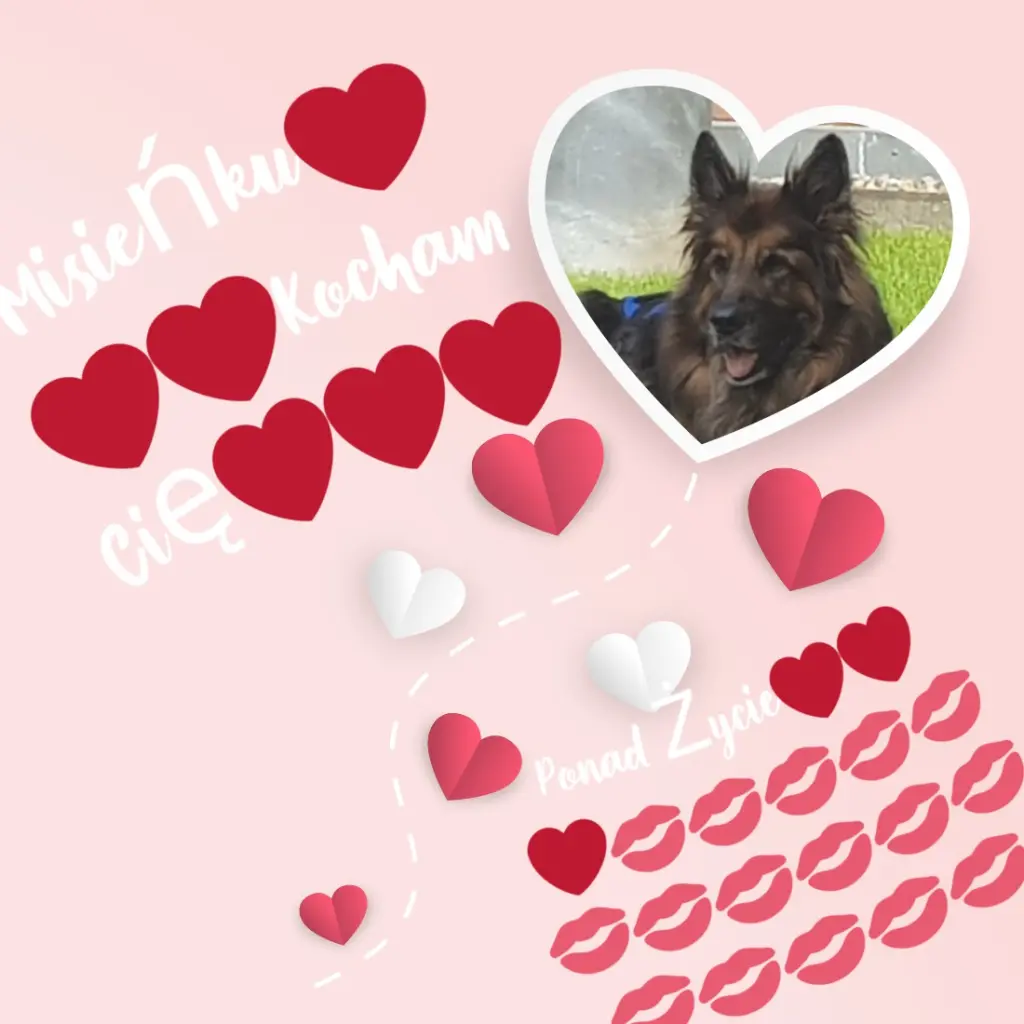 Andachtsbild von Dzień Dobry Misieńku❤️❤️❤️