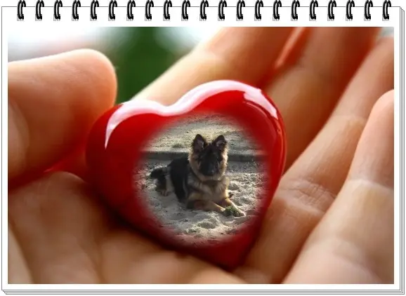 Andachtsbild von Mój Misiulek❤❤❤