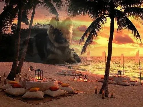 Andachtsbild von Dobry Wieczór Misieńku❤️❤️❤️