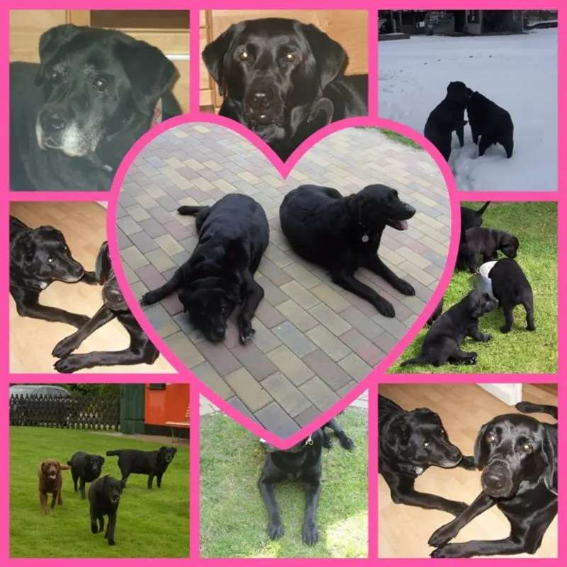 Andachtsbild von Unbekannt