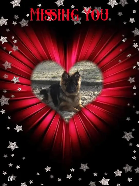 Andachtsbild von Dobrej Nocki Ukochany Misieńku❤️❤️❤️