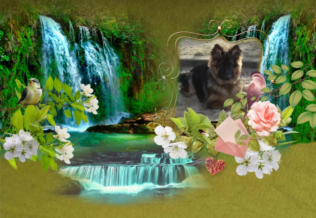 Andachtsbild von Dzień Dobry Misieńku❤️❤️❤️