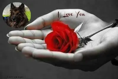 Andachtsbild von Dobrej Nocki Ukochany Misieńku❤️❤️❤️