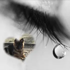 Andachtsbild von ❤️❤️❤️