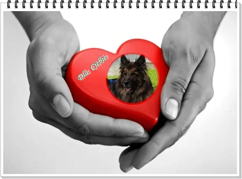 Andachtsbild von Kochany Misiu❤❤❤