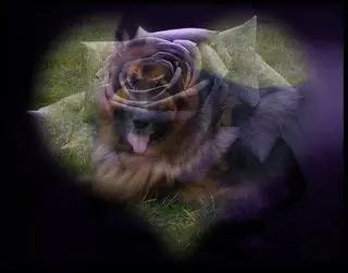 Andachtsbild von Dobrej Nocki Ukochany Misieńku❤️❤️❤️