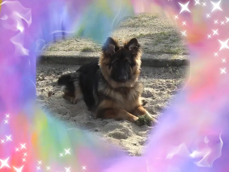 Andachtsbild von Kochany Misiu❤❤❤