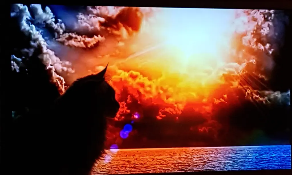 Andachtsbild von Brigitta mit Sam