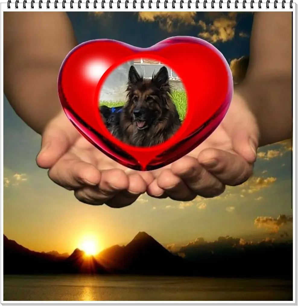 Andachtsbild von Dzień Dobry Misieńku❤️❤️❤️