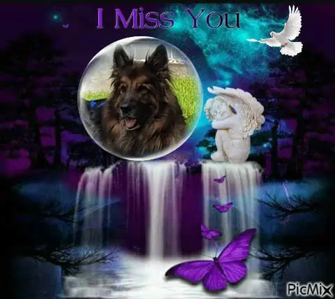 Andachtsbild von Dobrej Nocki Ukochany Misieńku❤️❤️❤️