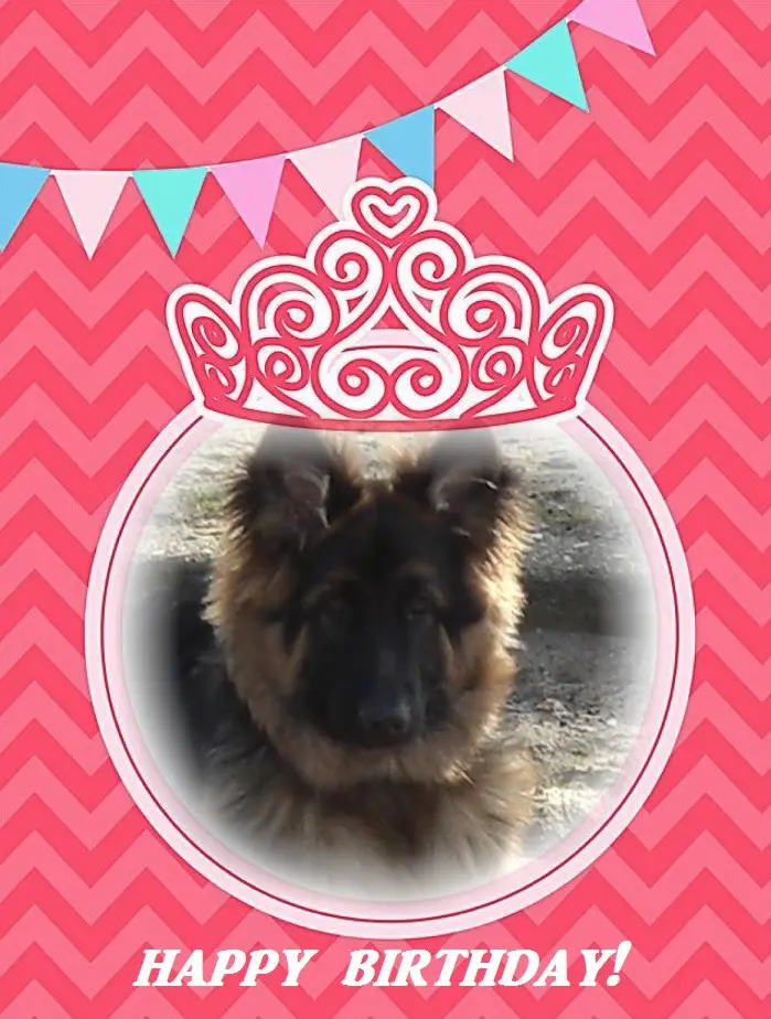 Andachtsbild von Unbekannt