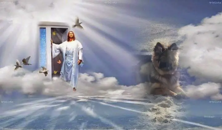 Andachtsbild von Dzień Dobry Misieńku❤️❤️❤️