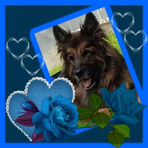 Andachtsbild von Dobrej Nocki Ukochany Misieńku❤️❤️❤️