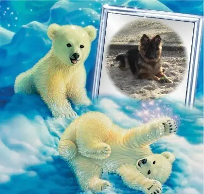 Andachtsbild von Dzień Dobry Misieńku❤️❤️❤️