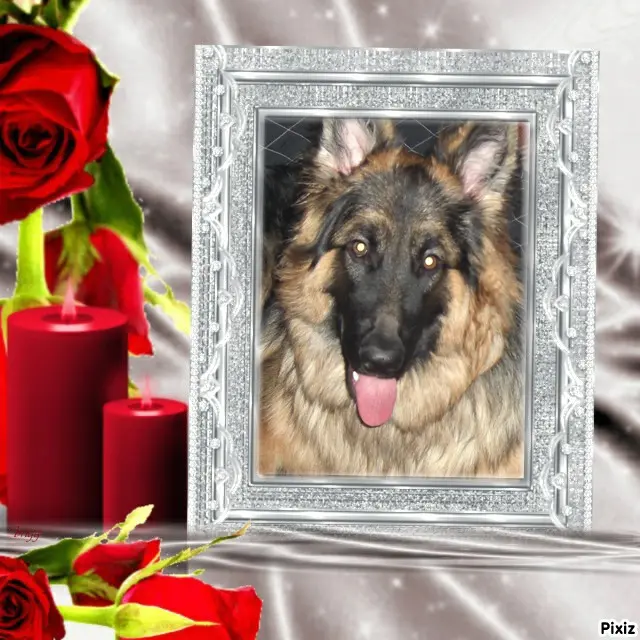 Andachtsbild von ❤️❤️❤️15. MONATE❤️❤️❤️