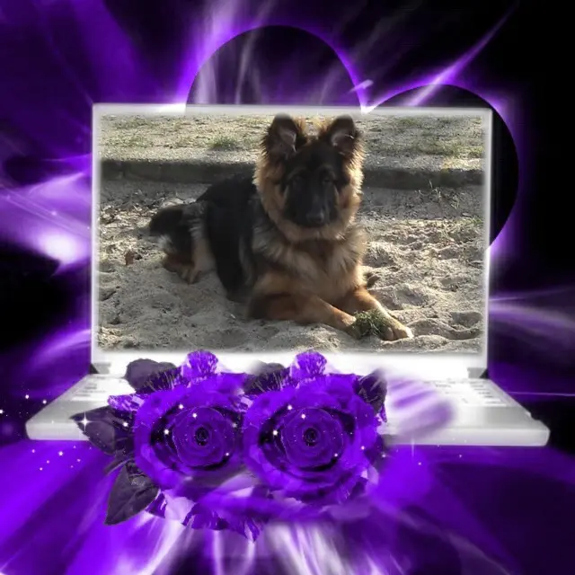 Andachtsbild von Dobrej Nocki Ukochany Misieńku❤️❤️❤️