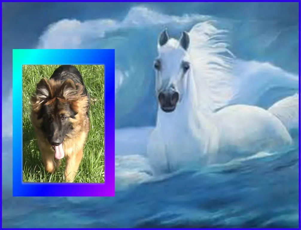 Andachtsbild von Dzień Dobry Misieńku❤️❤️❤️