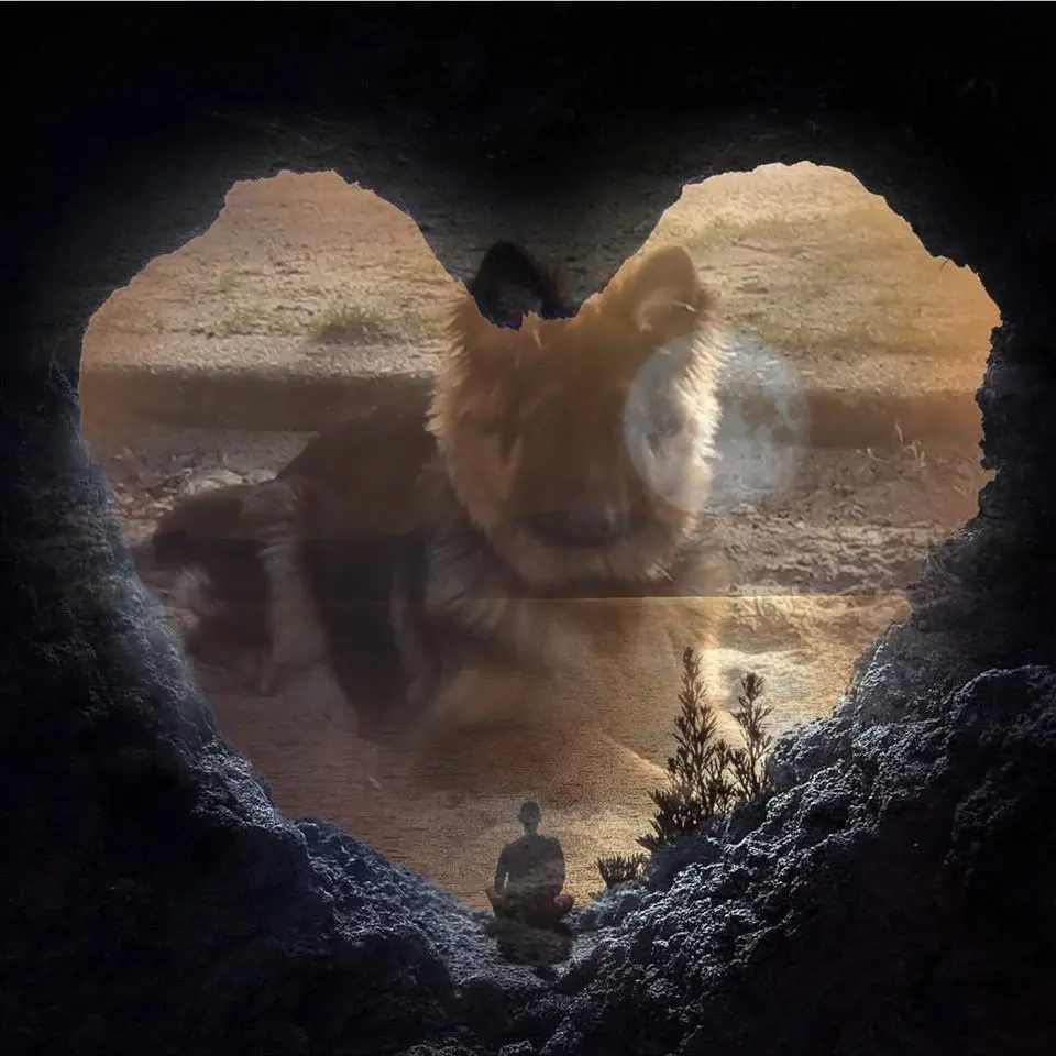 Andachtsbild von Dobrej Nocki Ukochany Misieńku❤️❤️❤️