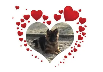 Andachtsbild von Dzień Dobry Misieńku❤️❤️❤️