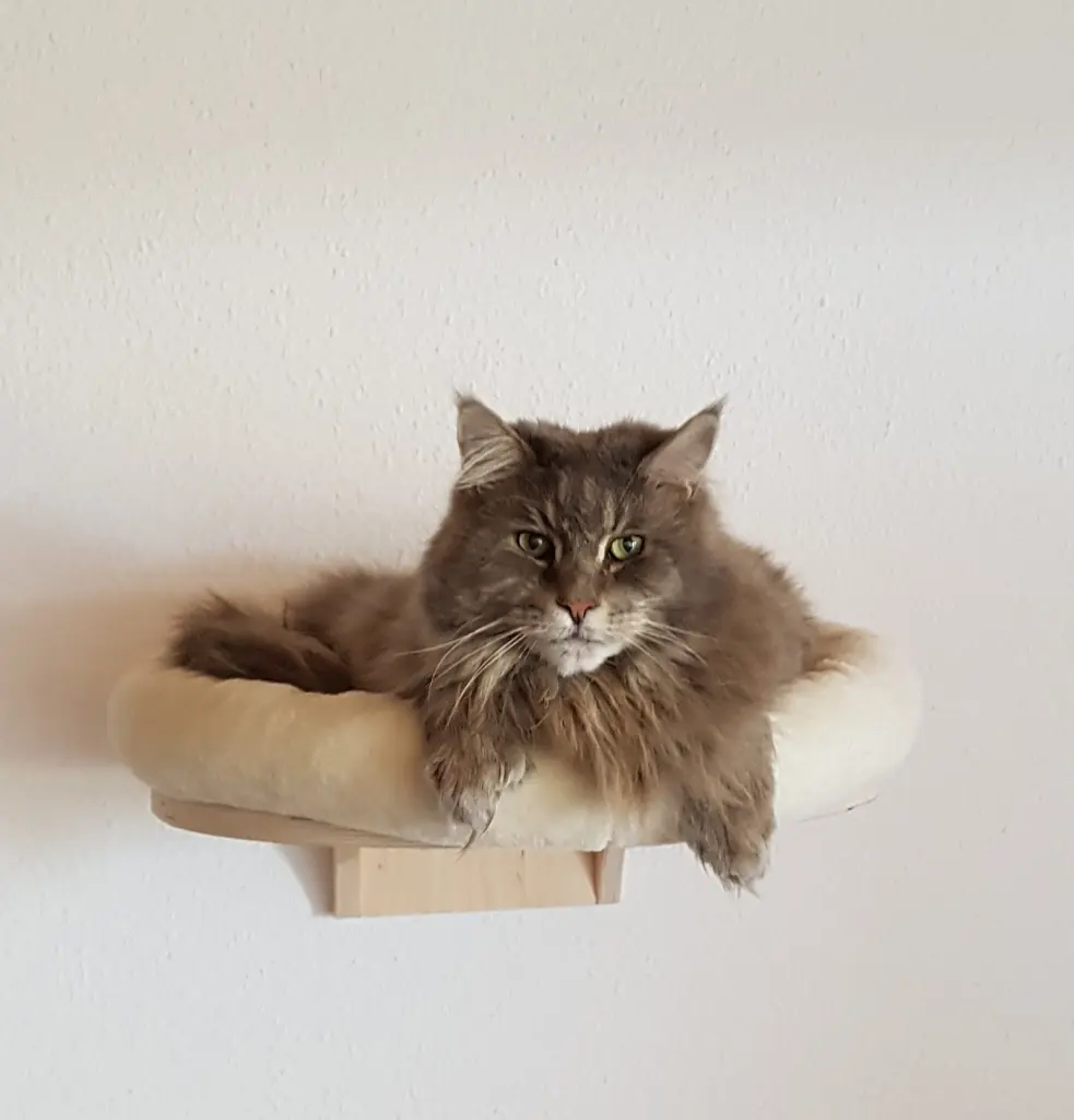 Andachtsbild von Brigitta mit Sam † 13.6.19