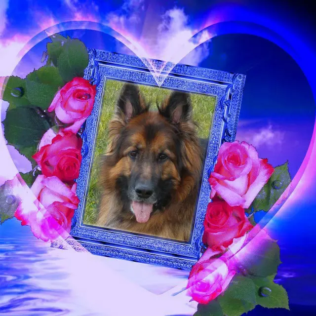 Andachtsbild von Dobrej Nocki Ukochany Misieńku❤️❤️❤️